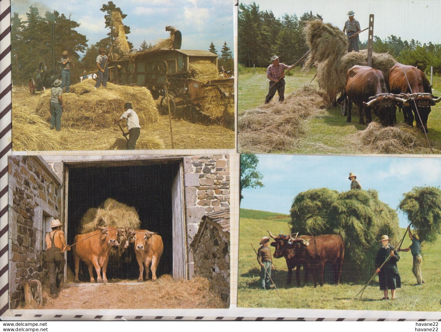 8AK4084 EN AUVERGNE TRAVAIL A LA FERME  Lot 8 Cartes  2 SCANS - Auvergne