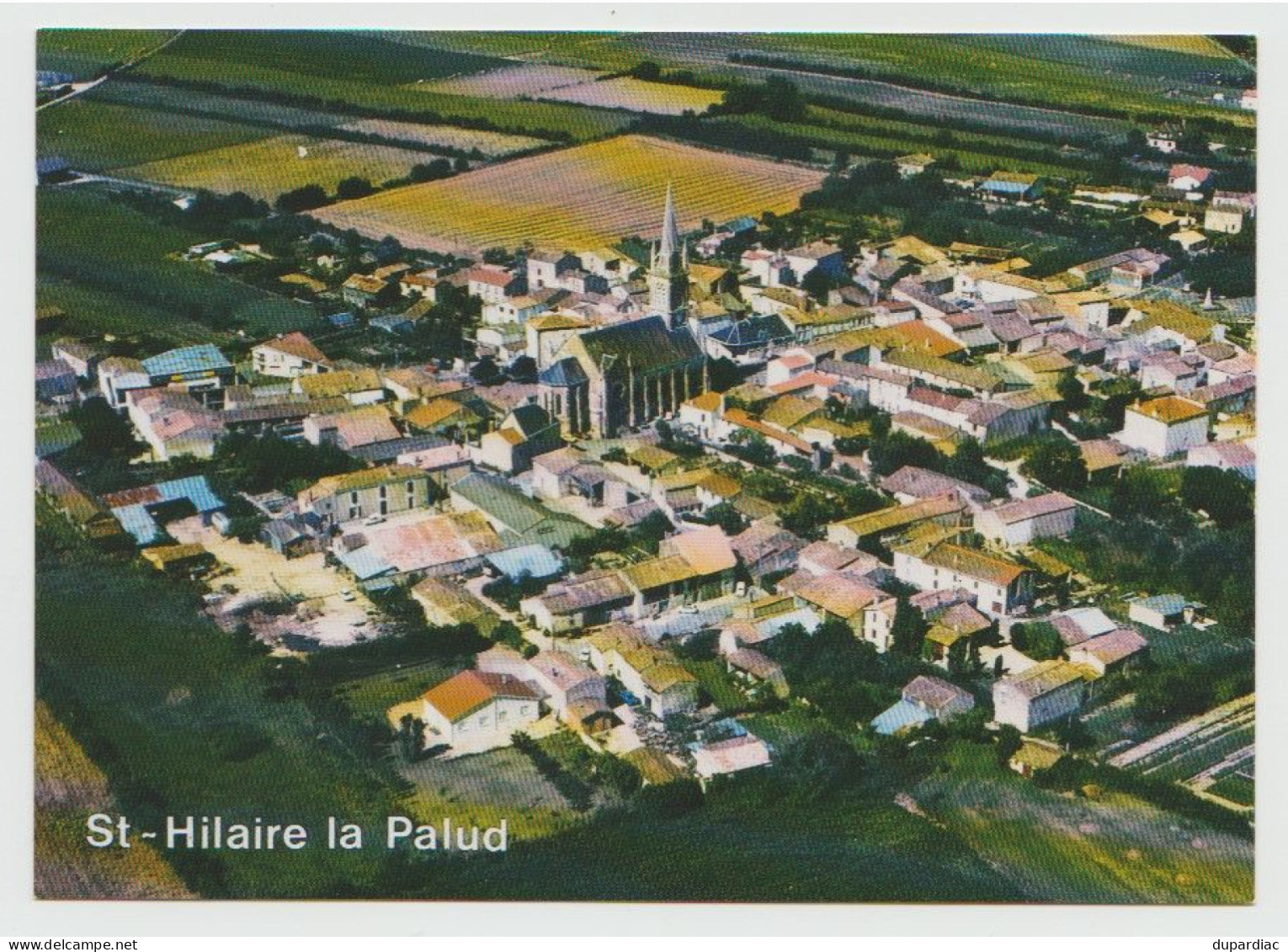 79 - Deux Sèvres / SAINT HILAIRE LA PALUD -- Vue Aérienne Générale. - Other & Unclassified