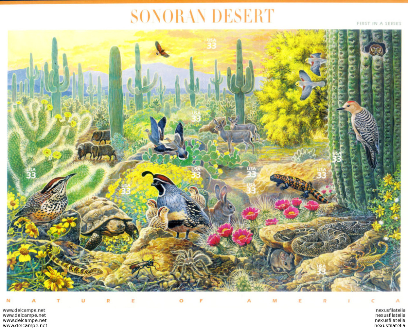 Deserto Di Sonora 1999. - Blocks & Kleinbögen