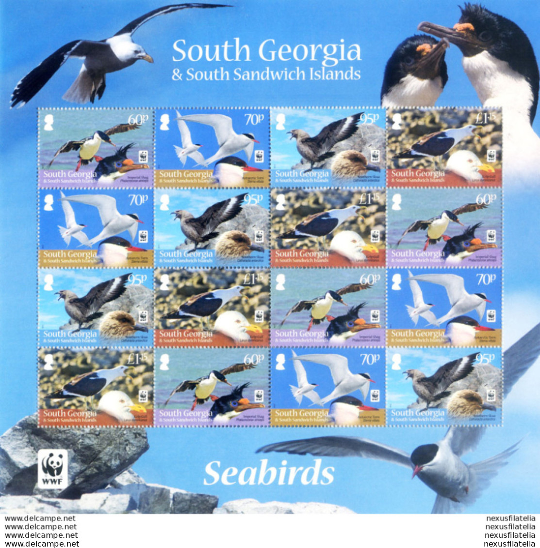 South Georgia. Fauna. WWF. Uccelli 2012. - Islas Malvinas
