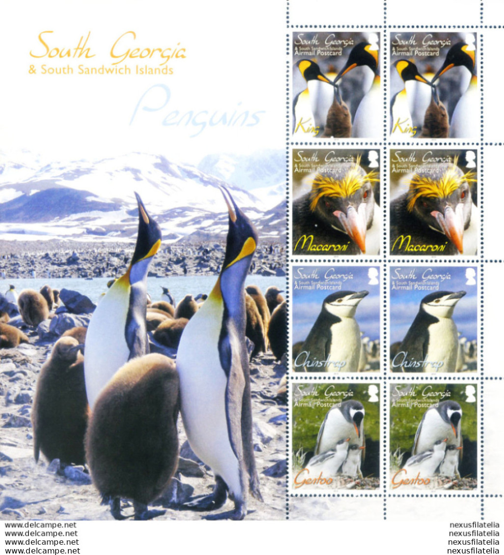 South Georgia. Fauna. Pinguini 2010. - Falklandinseln