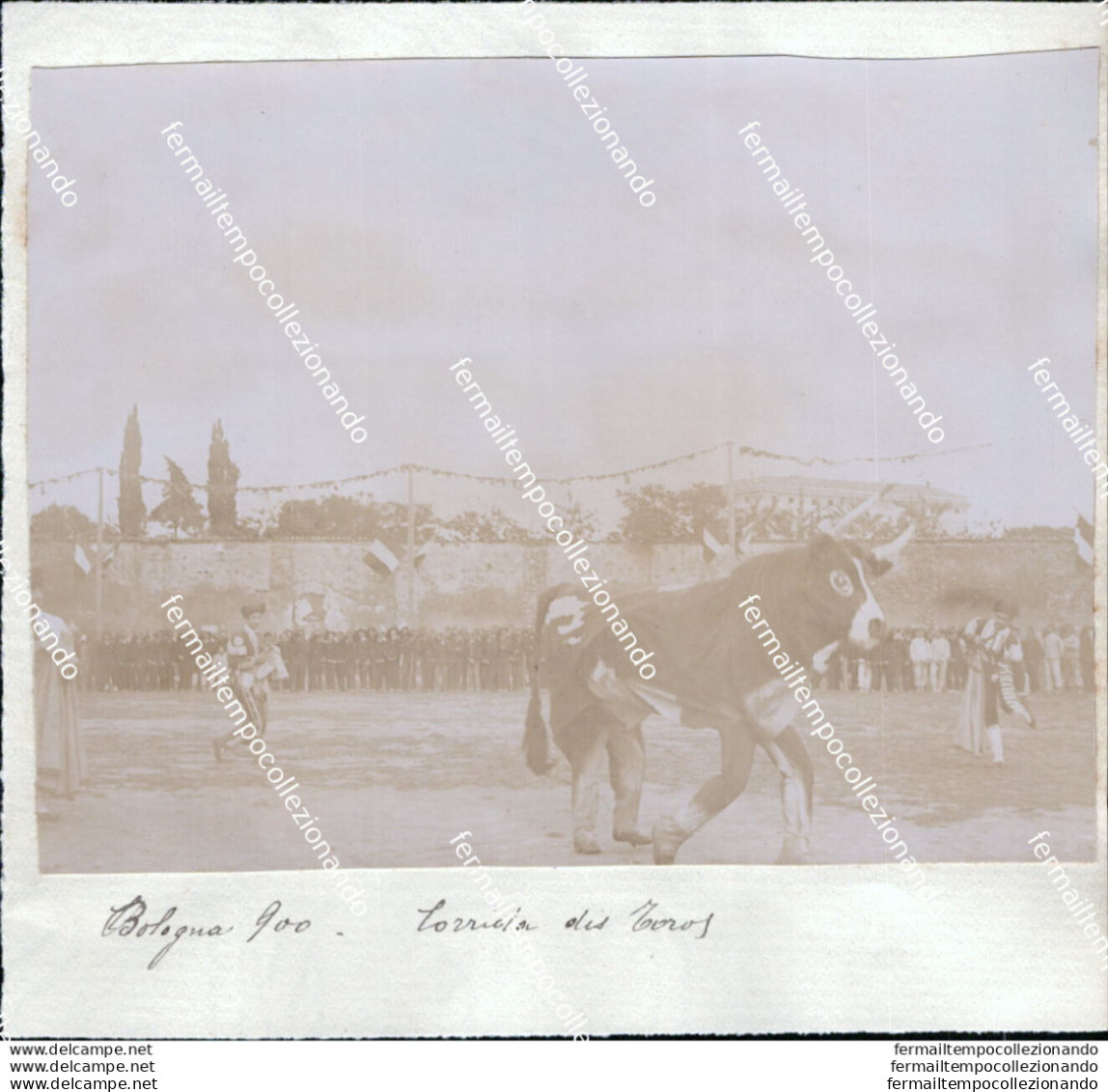 Au307 Foto Incollata Su Carta Bologna Citta' 1900 Militari Corrida - Bologna