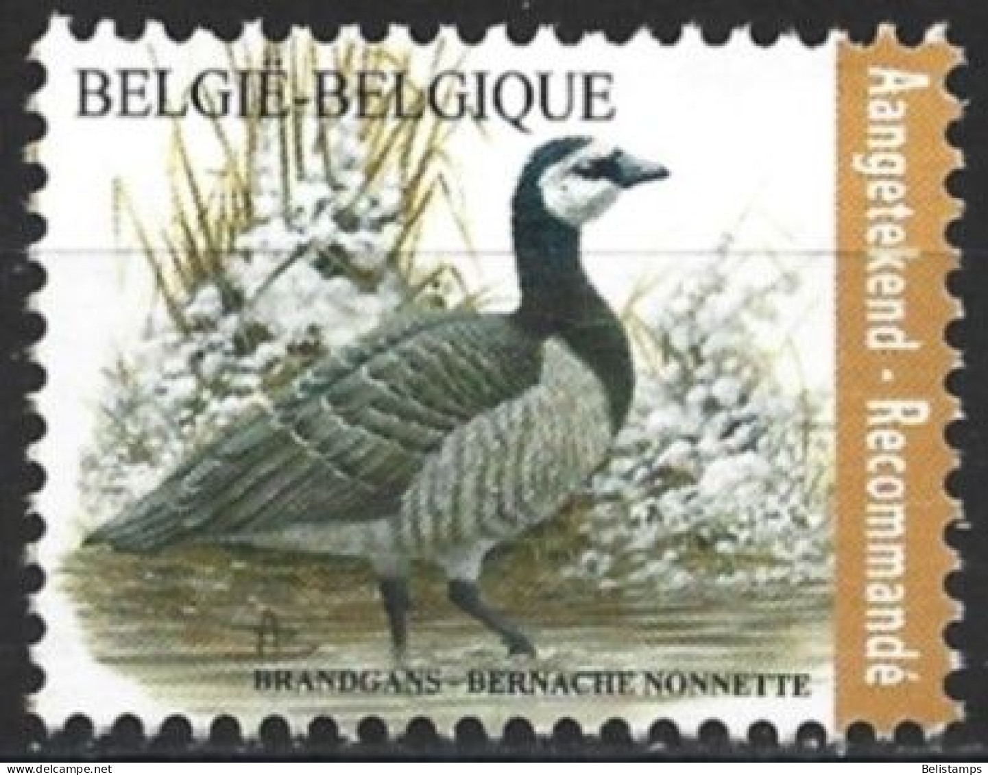 Belgium 2020. Scott #F7 (U) Bird, Barnacle Goose - Afgestempeld