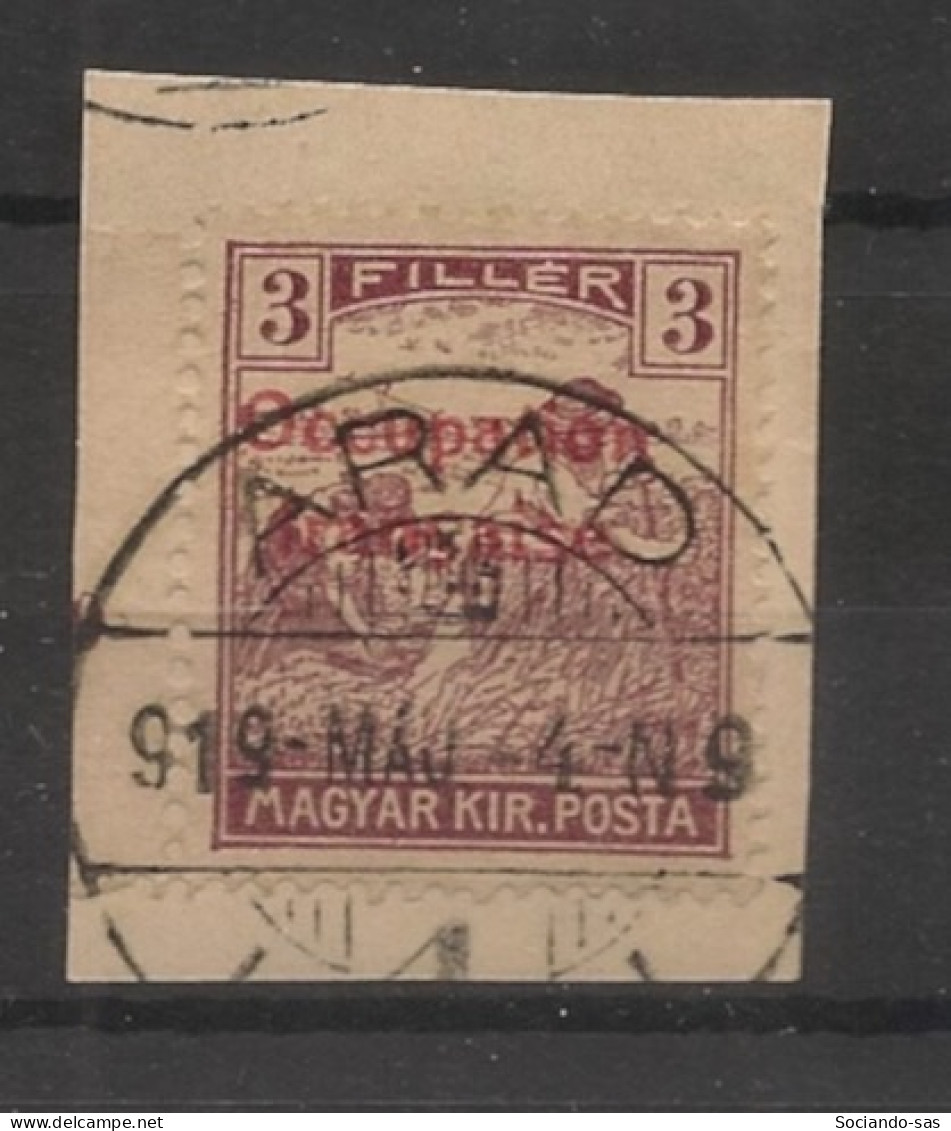 HONGRIE / ARAD - 1919 - N°YT. 5 - 3fi Brun-lilas - Oblitéré / Used - Used Stamps