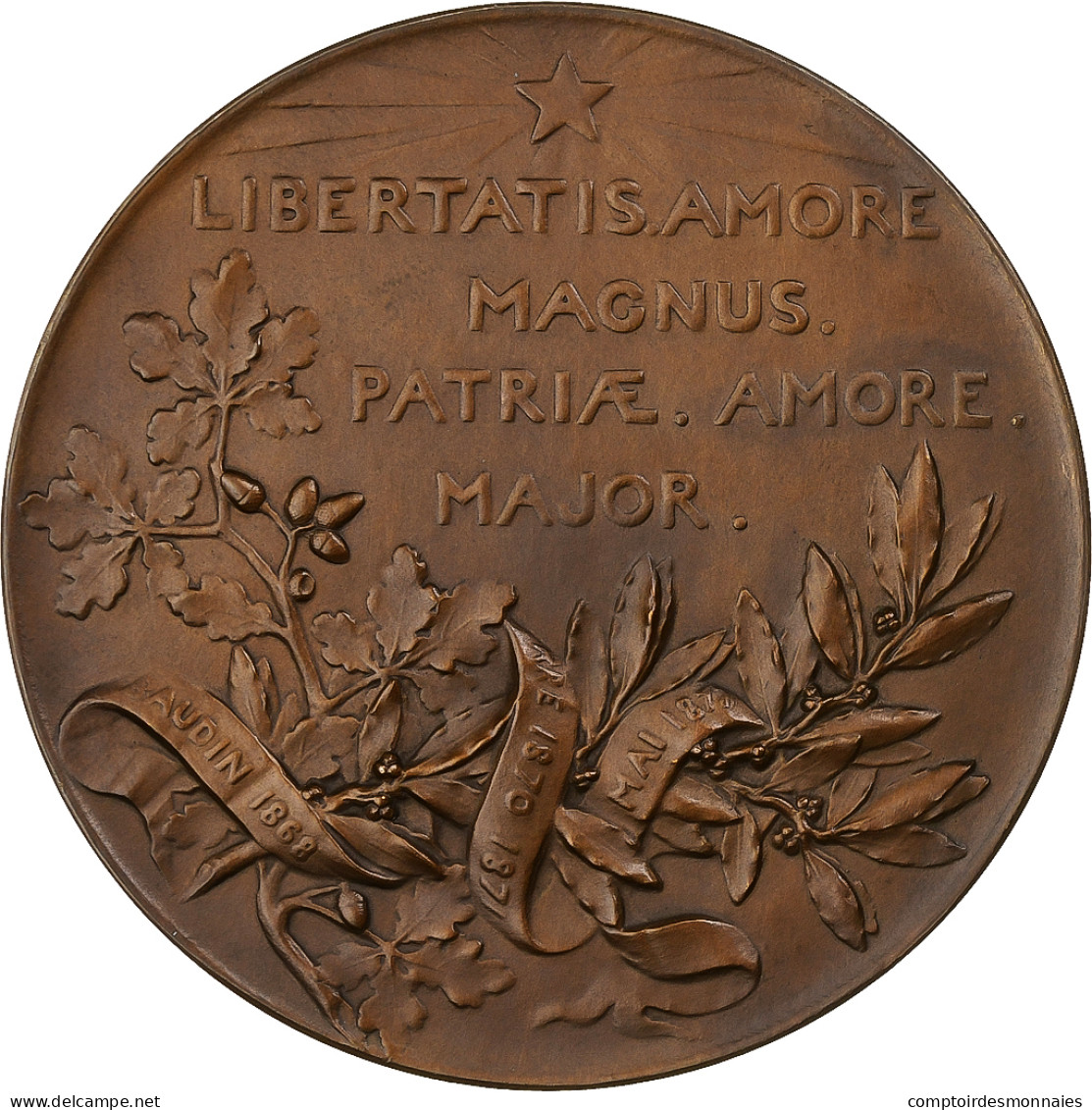 France, Médaille, Décès De Léon Gambetta, 1882, Bronze, O.Roty, SPL+ - Andere & Zonder Classificatie