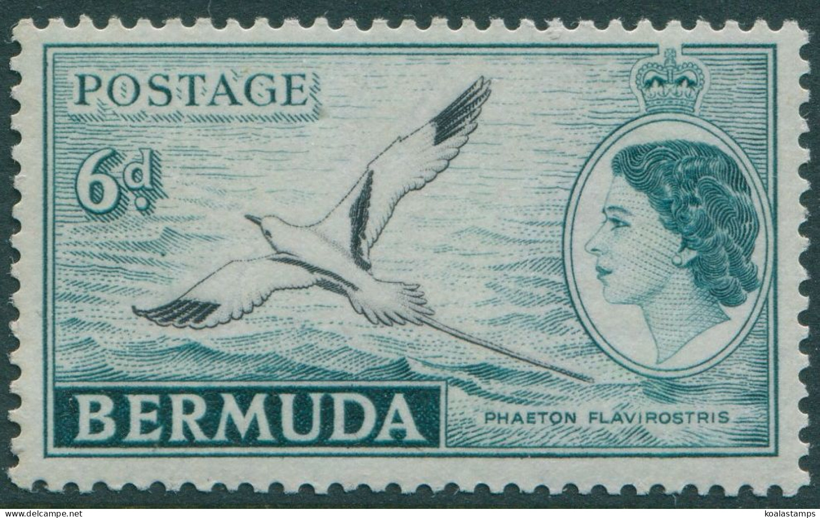 Bermuda 1953 SG143 6d Black And Turquoise QEII White-tailed Tropic Bird MNH - Bermudas