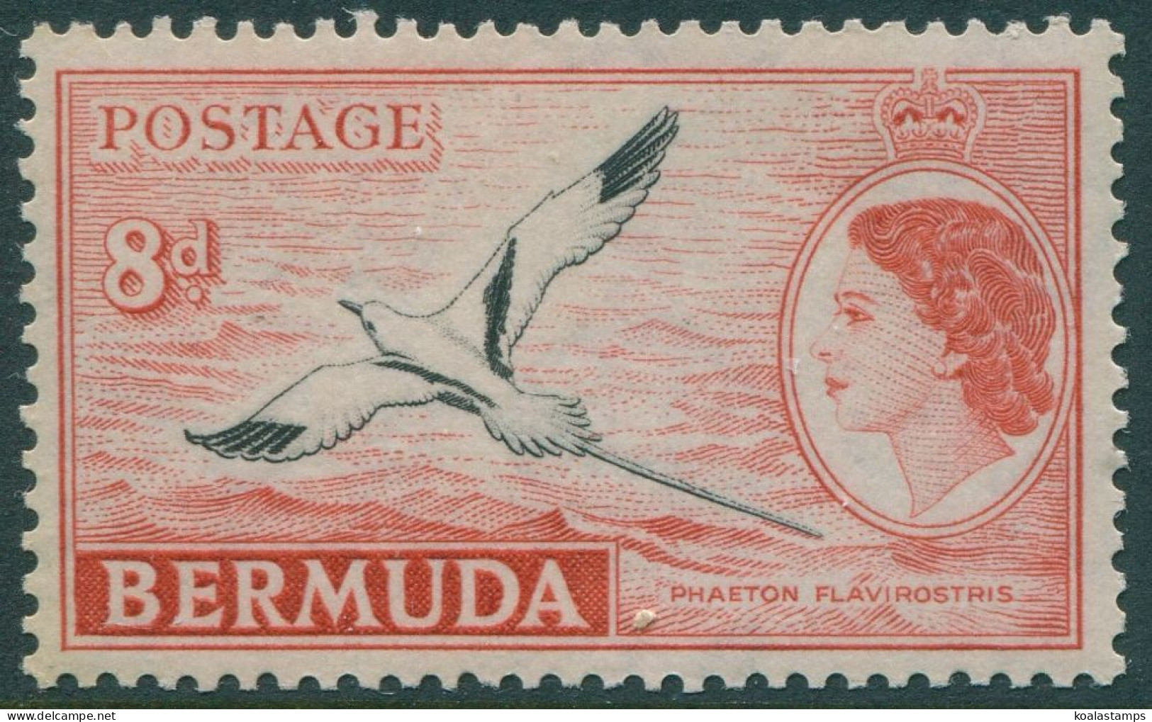 Bermuda 1953 SG143a 8d Black And Red QEII White-tailed Tropic Bird MLH - Bermudes