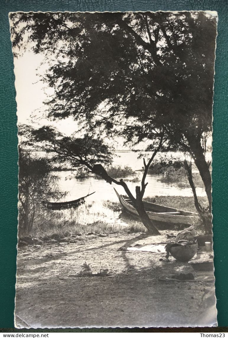 Paysage, Ed Cerbelot, N° 1171 - Sénégal