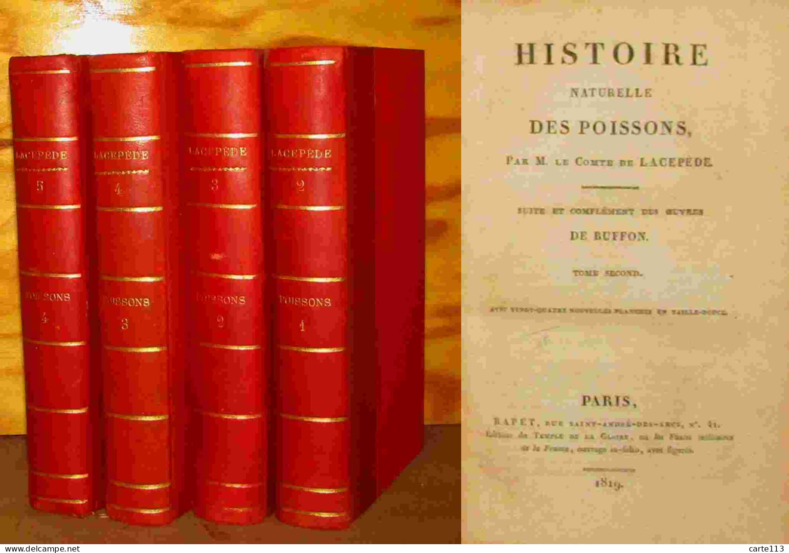 LACEPEDE Etienne De - HISTOIRE NATURELLE DES POISSONS - SUITE ET COMPLEMENT DES OEUVRES DE - 1801-1900