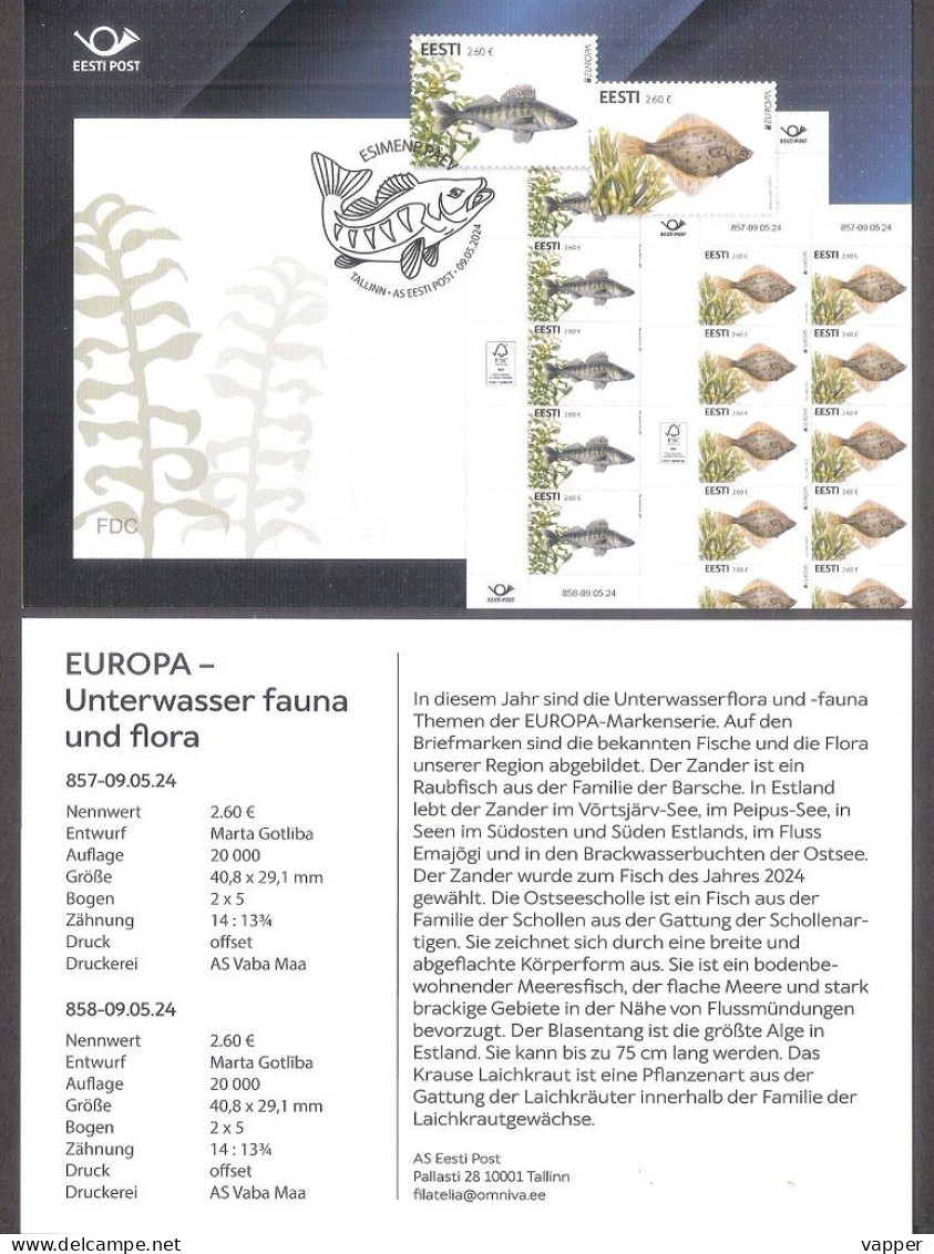 Europa – Underwater Fauna Fish And Flora 2024 Estonia Stamps Presemtation Card (ger) Mi 1105-6 - Estonie