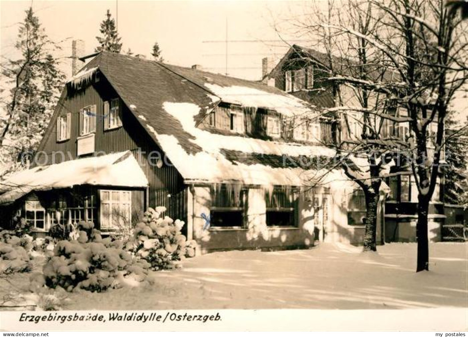 73104029 Waldidylle Erzgebirgsbaude Winteraufnahme Waldidylle - Altenberg