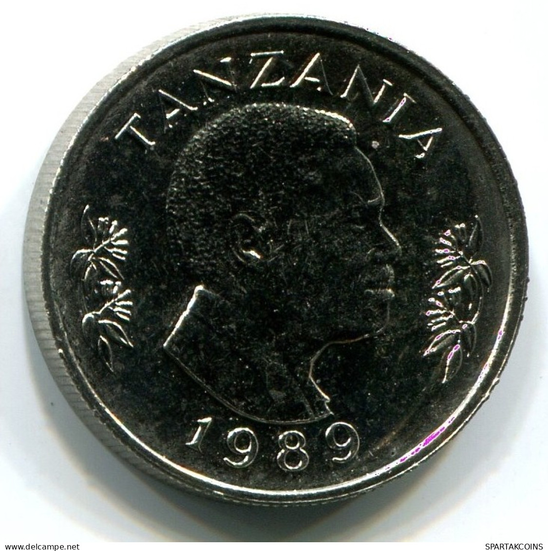 50 SENTI 1990 TANSANIA TANZANIA UNC Rabbit Münze #W10903.D.A - Tanzanía