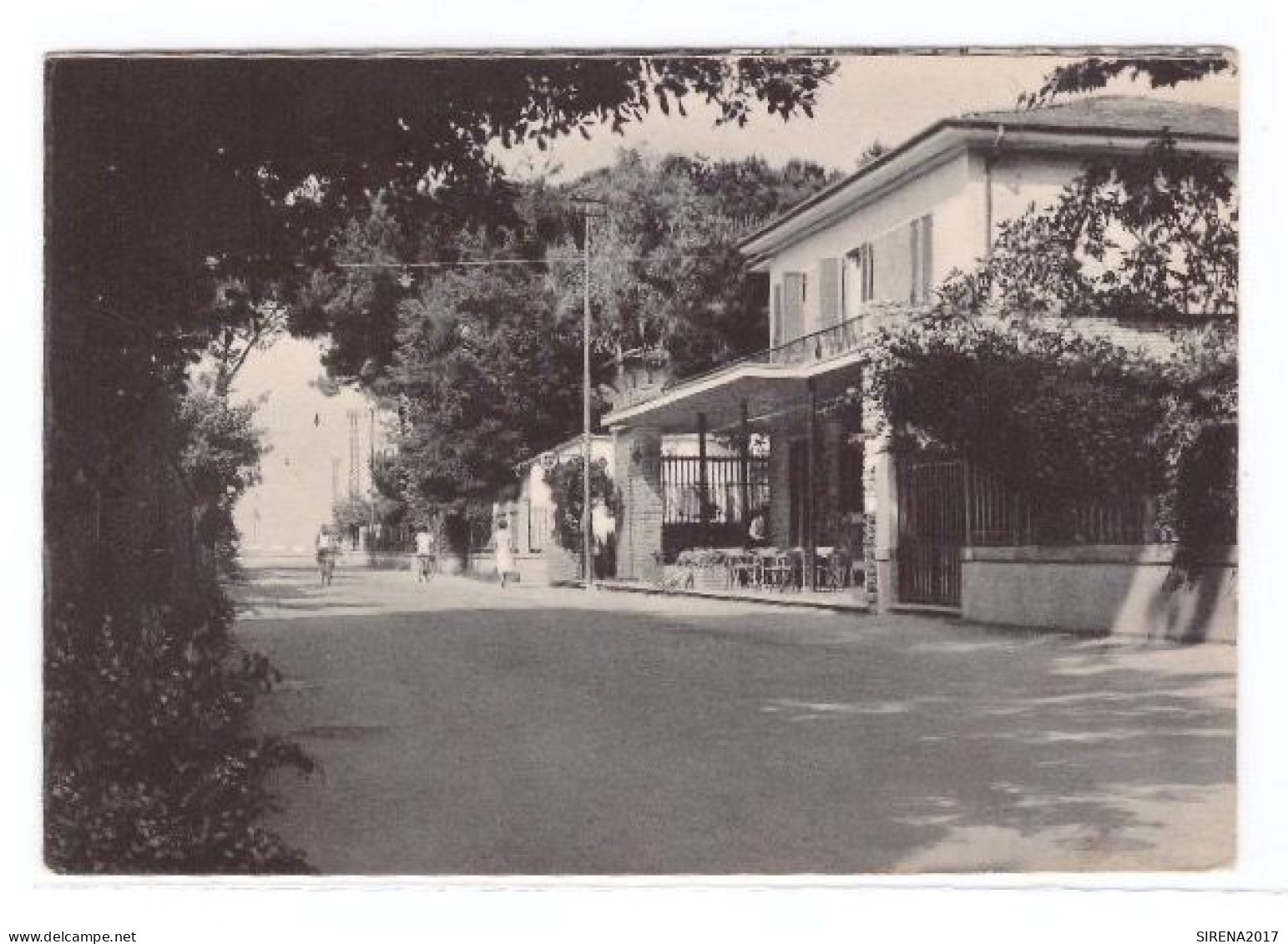 MARINA DI PIETRASANTA - LE FOCETTE - IL GALLO D'ORO - LUCCA - VIAGGIATA - Lucca