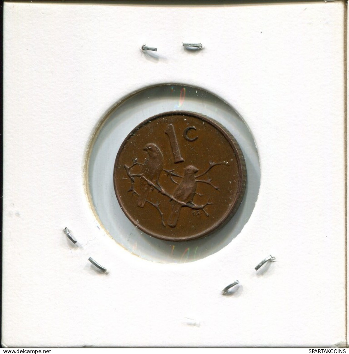 1 CENT 1966 SUDAFRICA SOUTH AFRICA Moneda #AN705.E.A - Südafrika