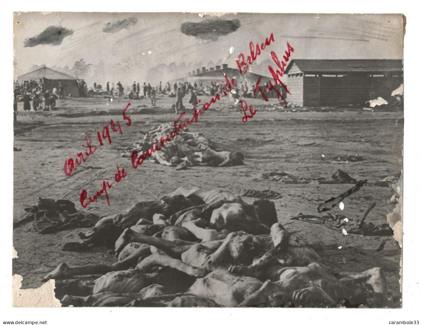 PHOTO     CAMP DE BELSEN    Photo LAPI. Avril 1945     NO COMMENT   22 X 17    (1581)  Cartonné - Personnes Anonymes