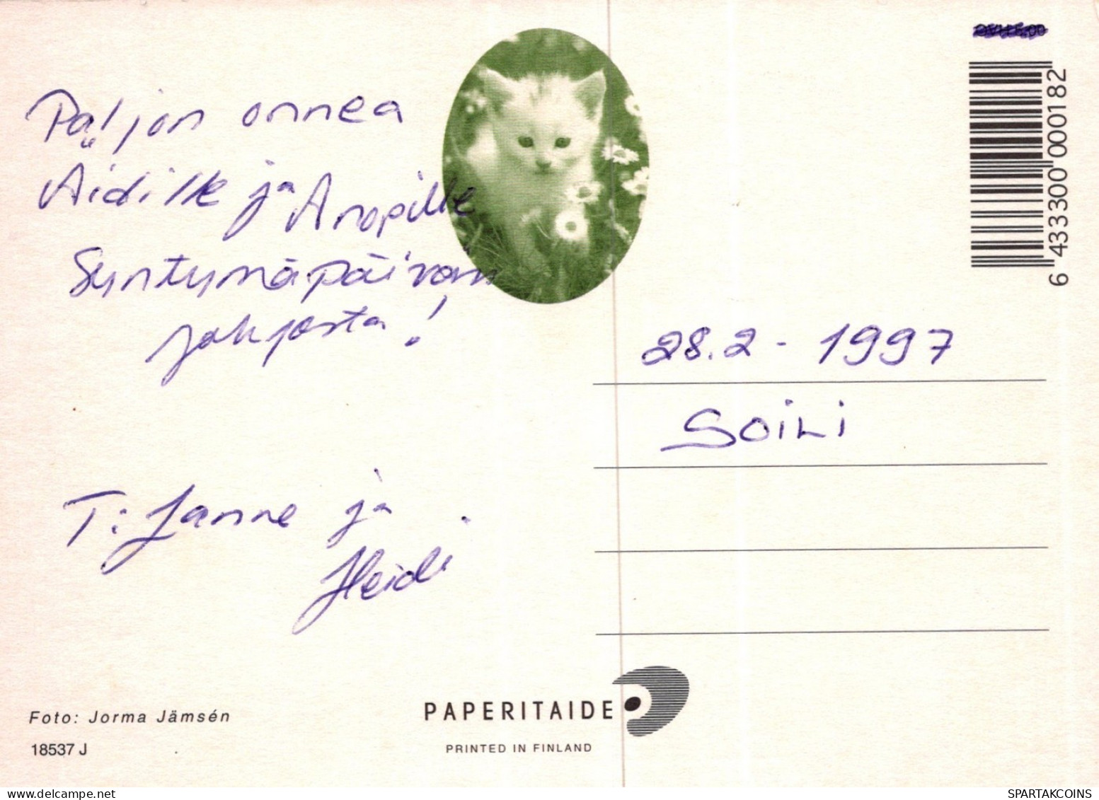 GATTO KITTY Animale Vintage Cartolina CPSM #PAM373.A - Katten