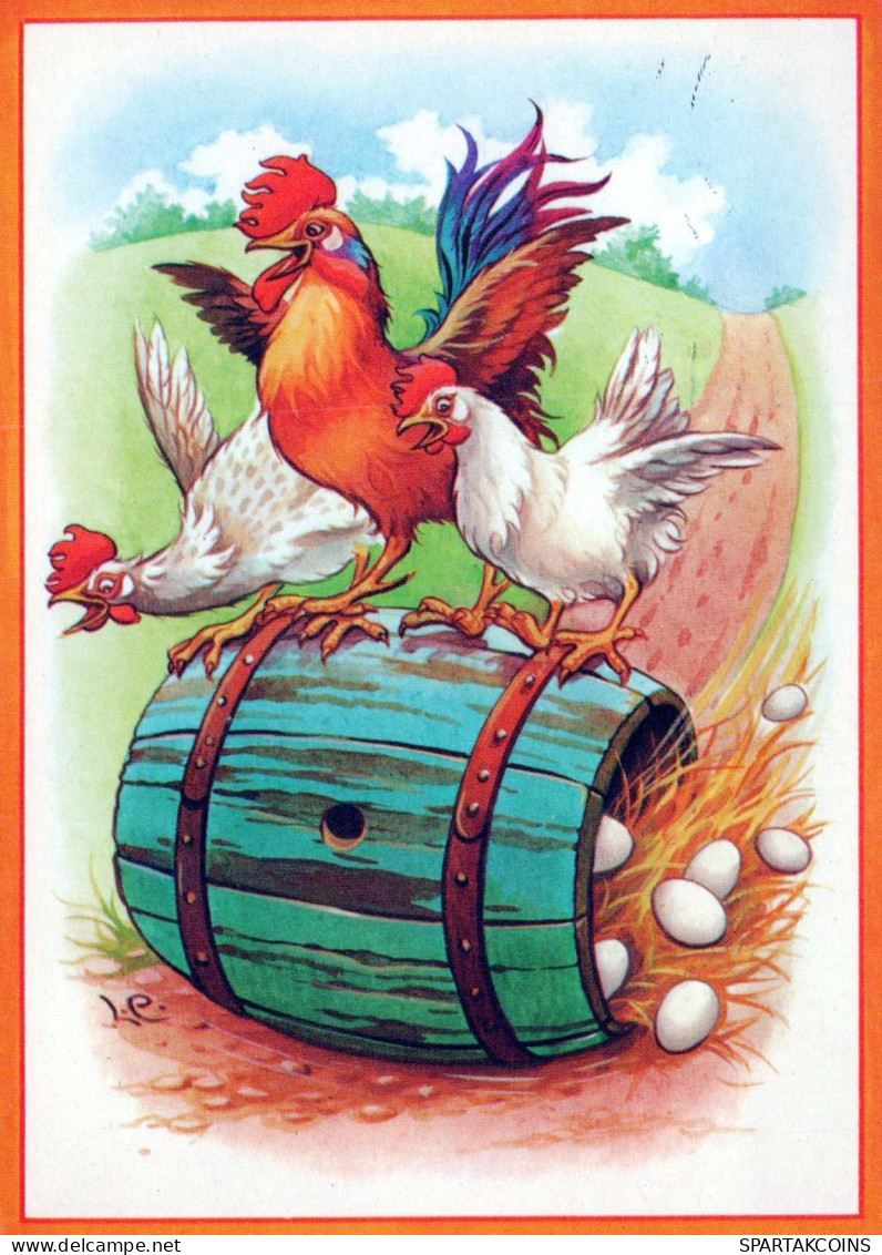 BIRD Animals Vintage Postcard CPSM #PBR584.A - Birds
