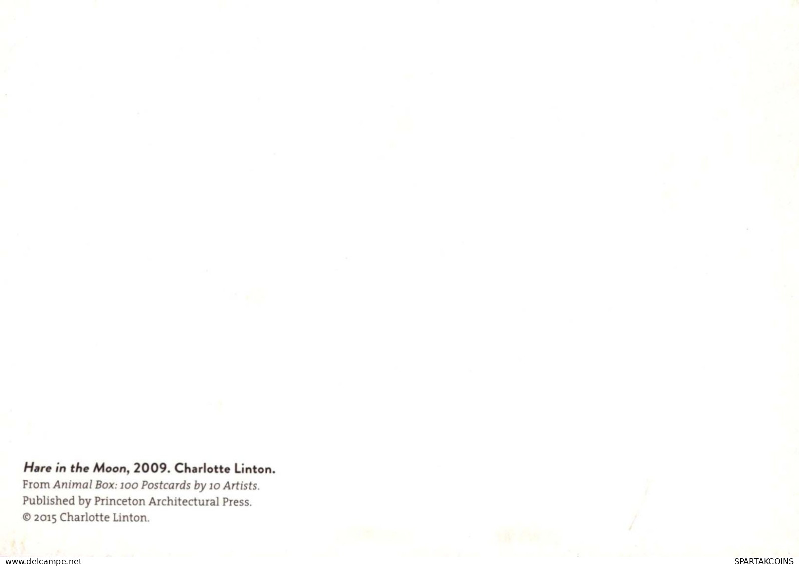 CONIGLIO Animale Vintage Cartolina CPSM #PBR151.A - Sonstige & Ohne Zuordnung