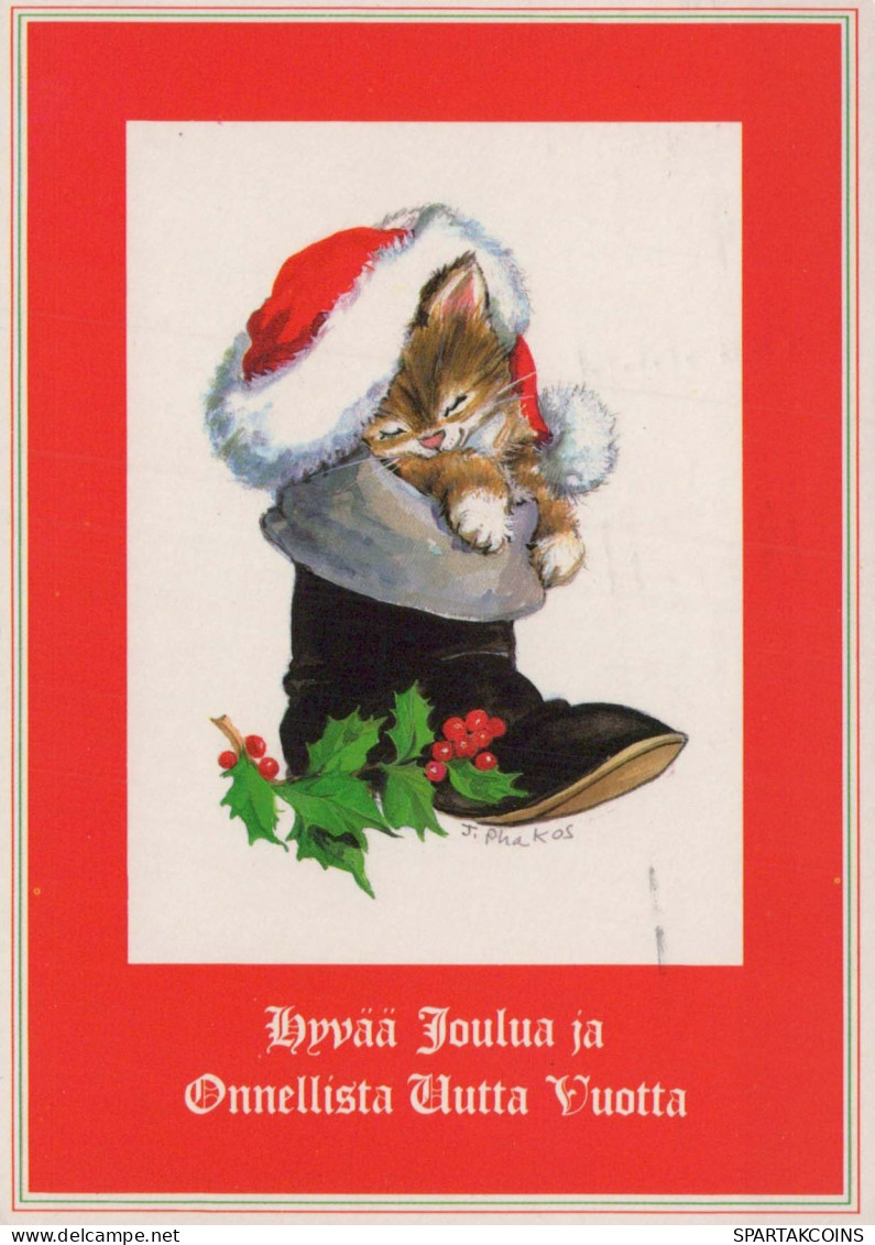 KATZE MIEZEKATZE Tier Vintage Ansichtskarte Postkarte CPSM #PBQ782.A - Katten