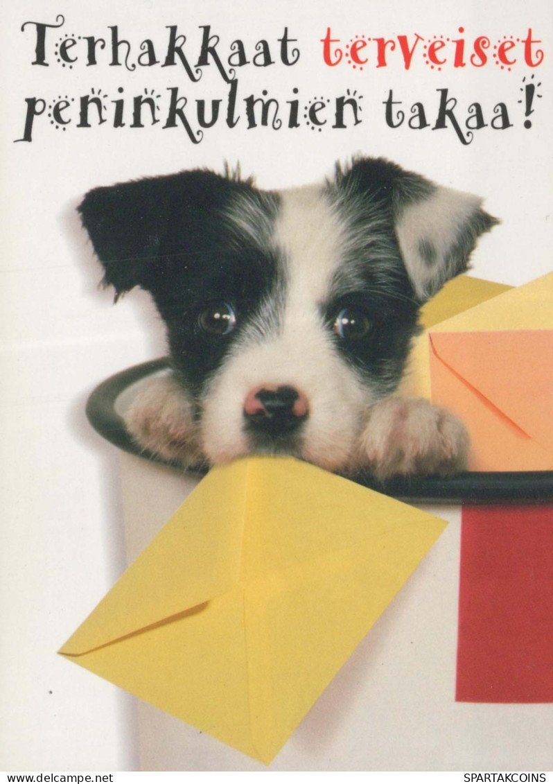 PERRO Animales Vintage Tarjeta Postal CPSM #PBQ364.A - Chiens