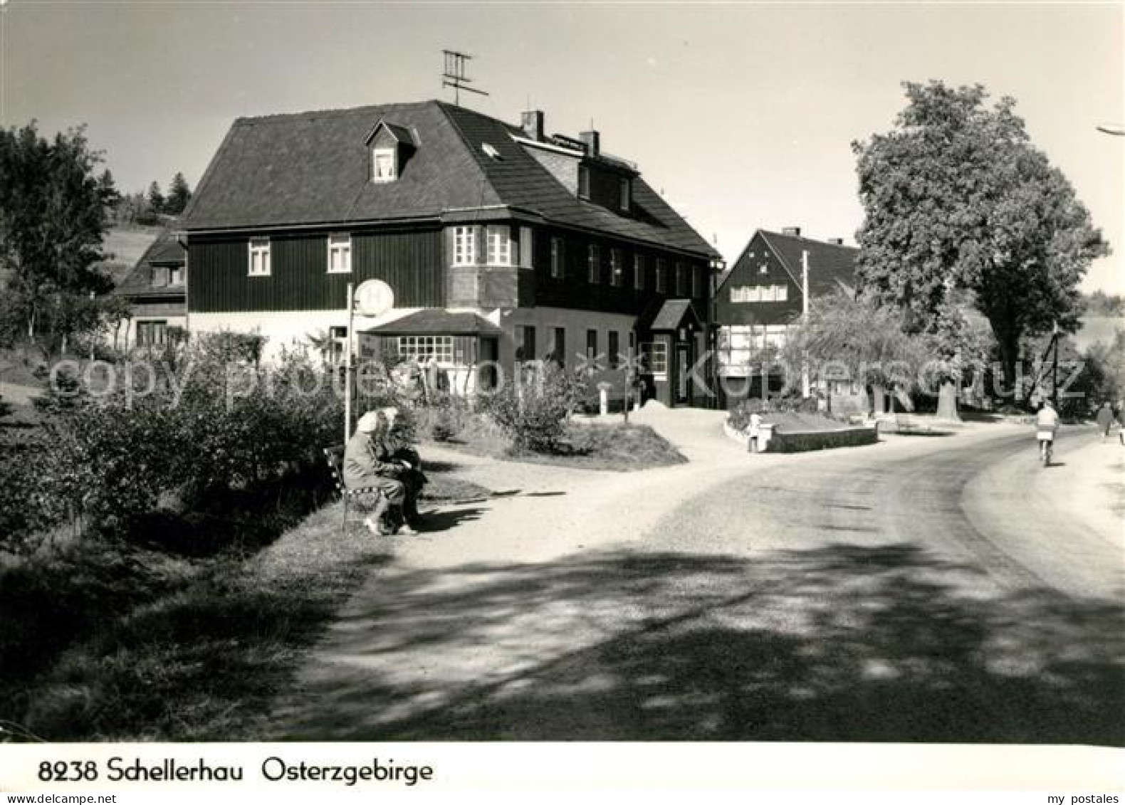 73102598 Schellerhau Ortsansicht Schellerhau - Altenberg