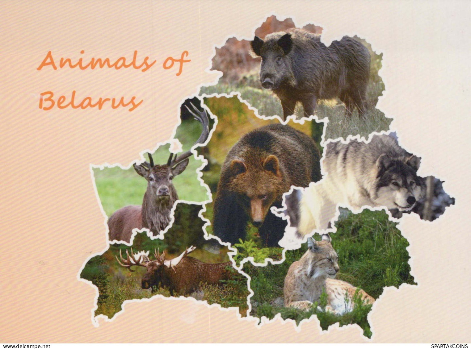 SALVAJE Animales Vintage Tarjeta Postal CPSM #PBS936.A - Andere & Zonder Classificatie