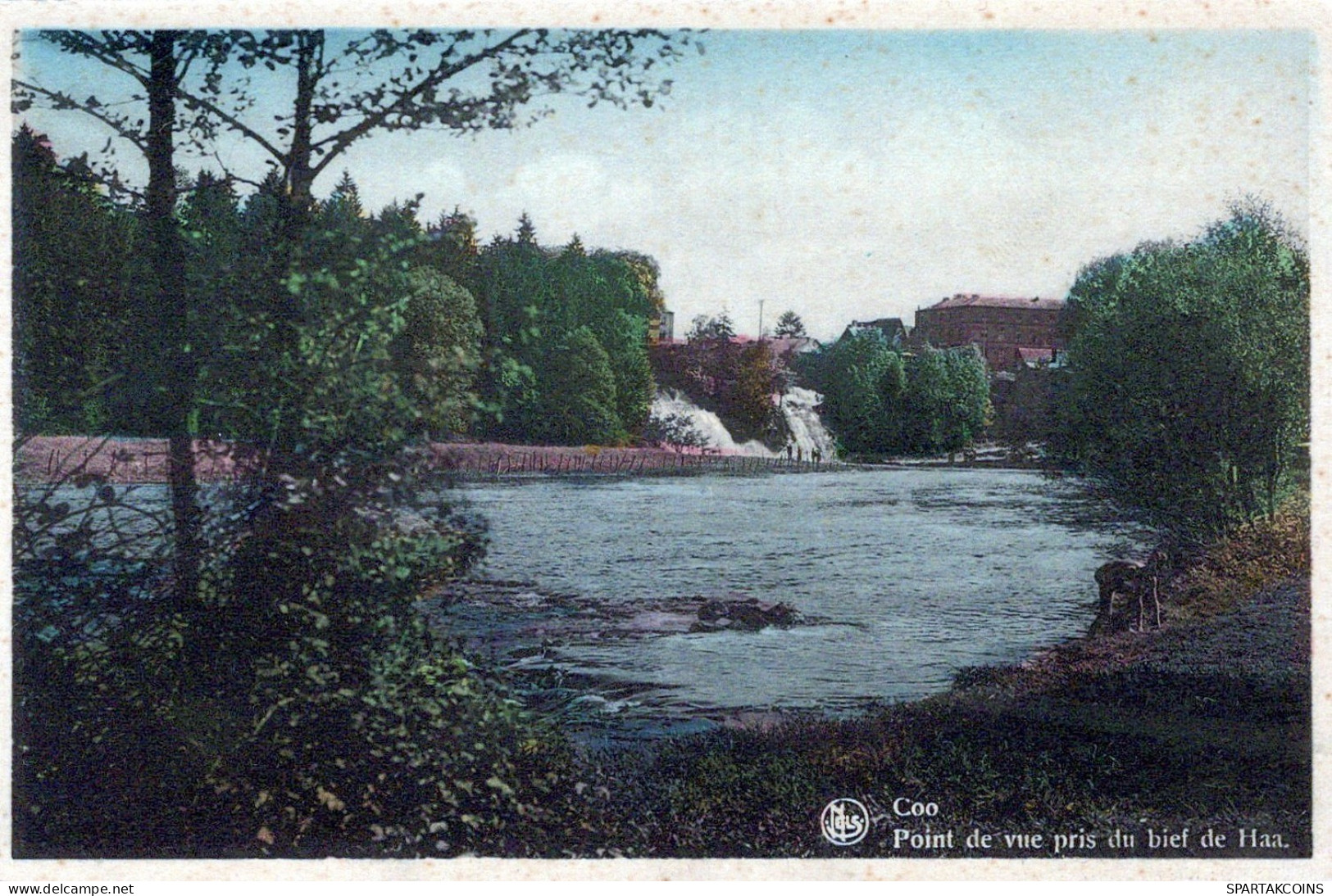 BELGIEN COO WASSERFALL Provinz Lüttich (Liège) Postkarte CPA Unposted #PAD130.A - Stavelot