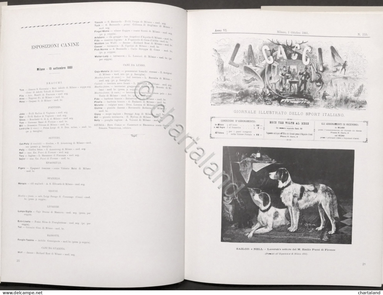 Cinofilia - Harry Salamon - I Cento Anni Dell'dell'ENCI - 1^ Ed. 1982 - Andere & Zonder Classificatie