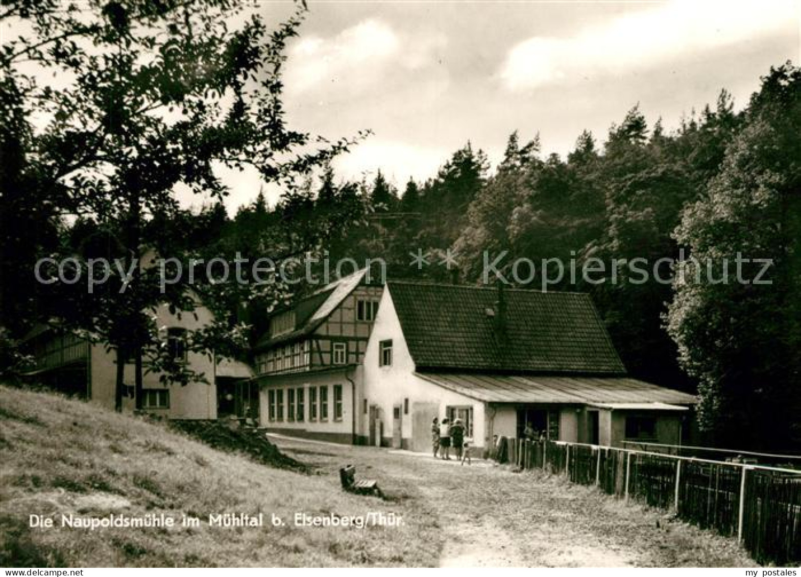 73101912 Eisenberg Thueringen Naupoldsmuehle Muehltal Eisenberg Thueringen - Eisenberg