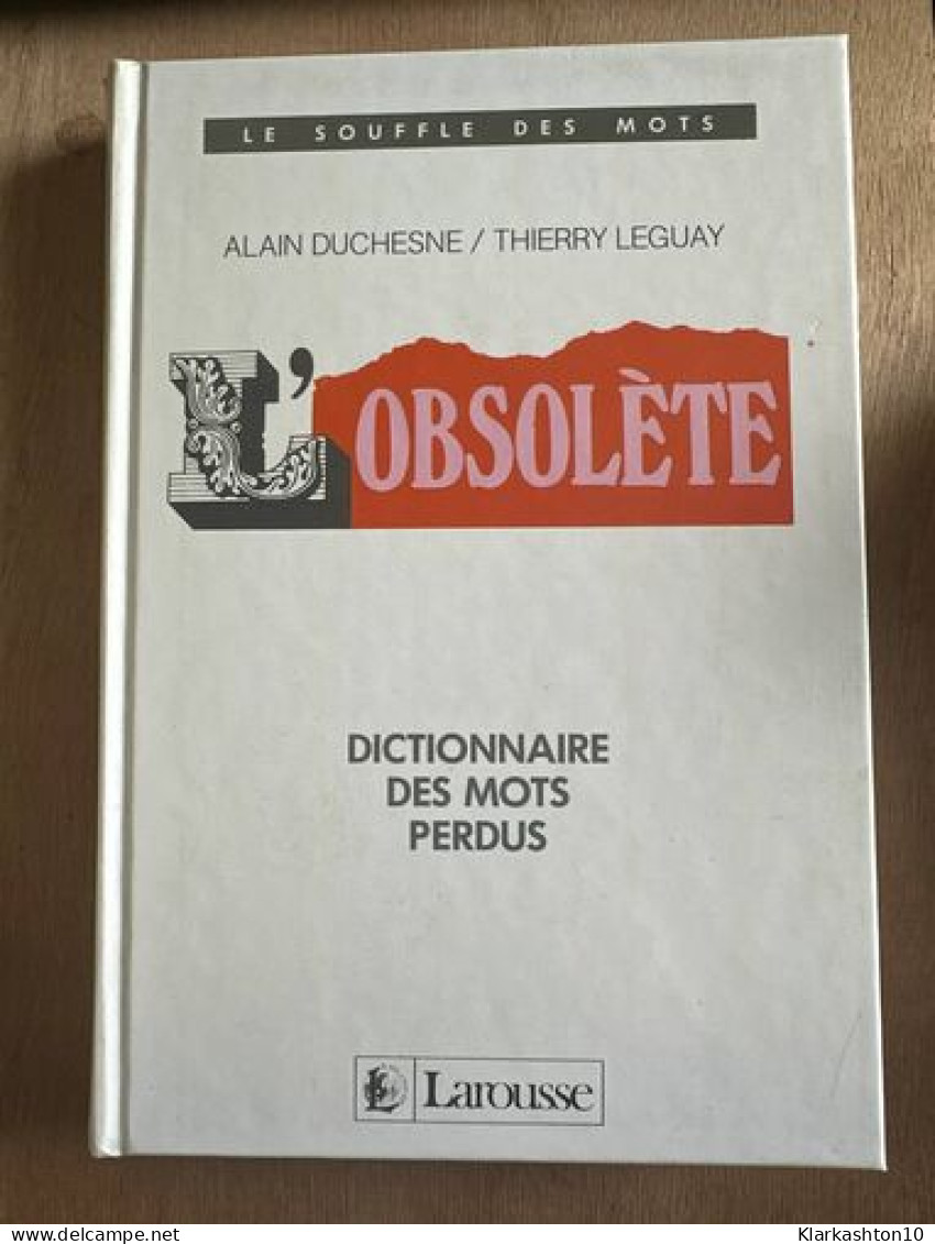 L'obsolète Dictionnaire Des Mots Perdus - Andere & Zonder Classificatie