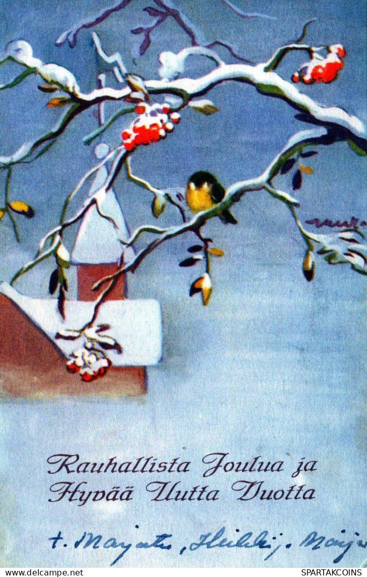 VOGEL Vintage Ansichtskarte Postkarte CPSMPF #PKG958.DE - Birds