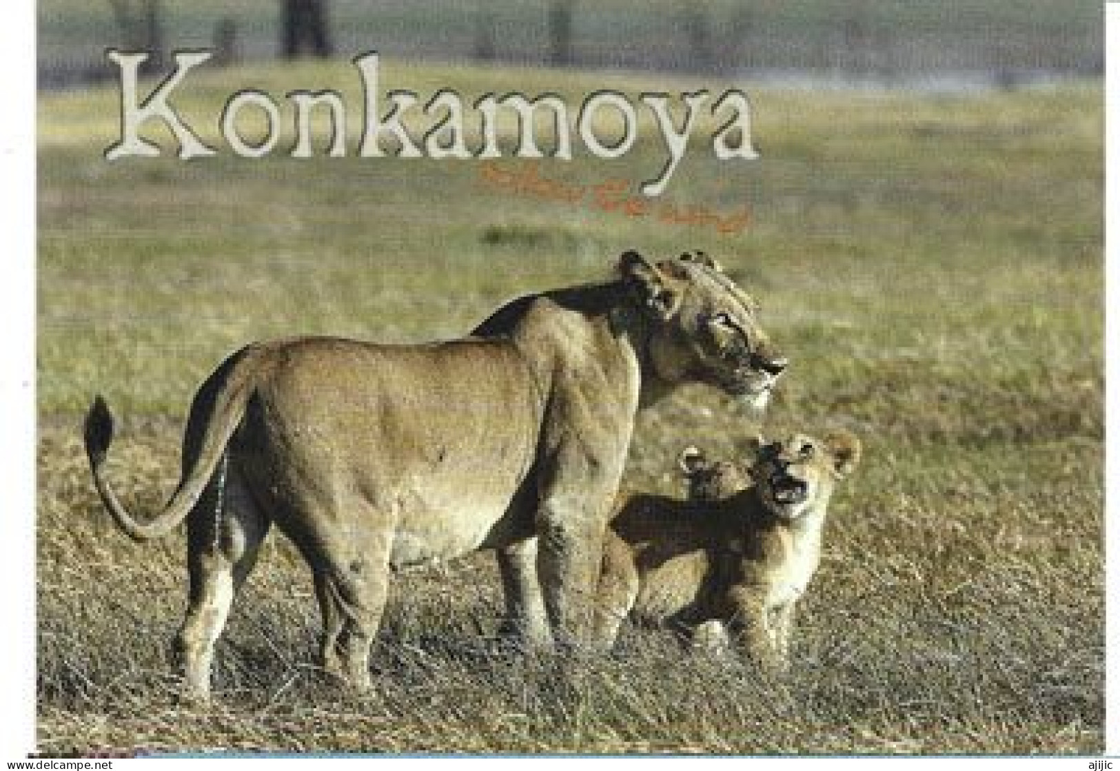 Kafue National Park . Konkamoya Lodge. Postcard - Sambia