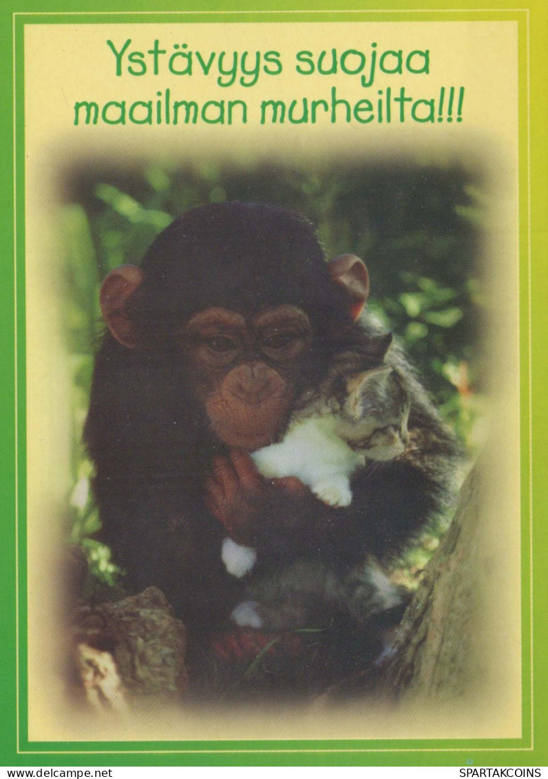 AFFE Tier Vintage Ansichtskarte Postkarte CPSM #PBS004.DE - Monkeys