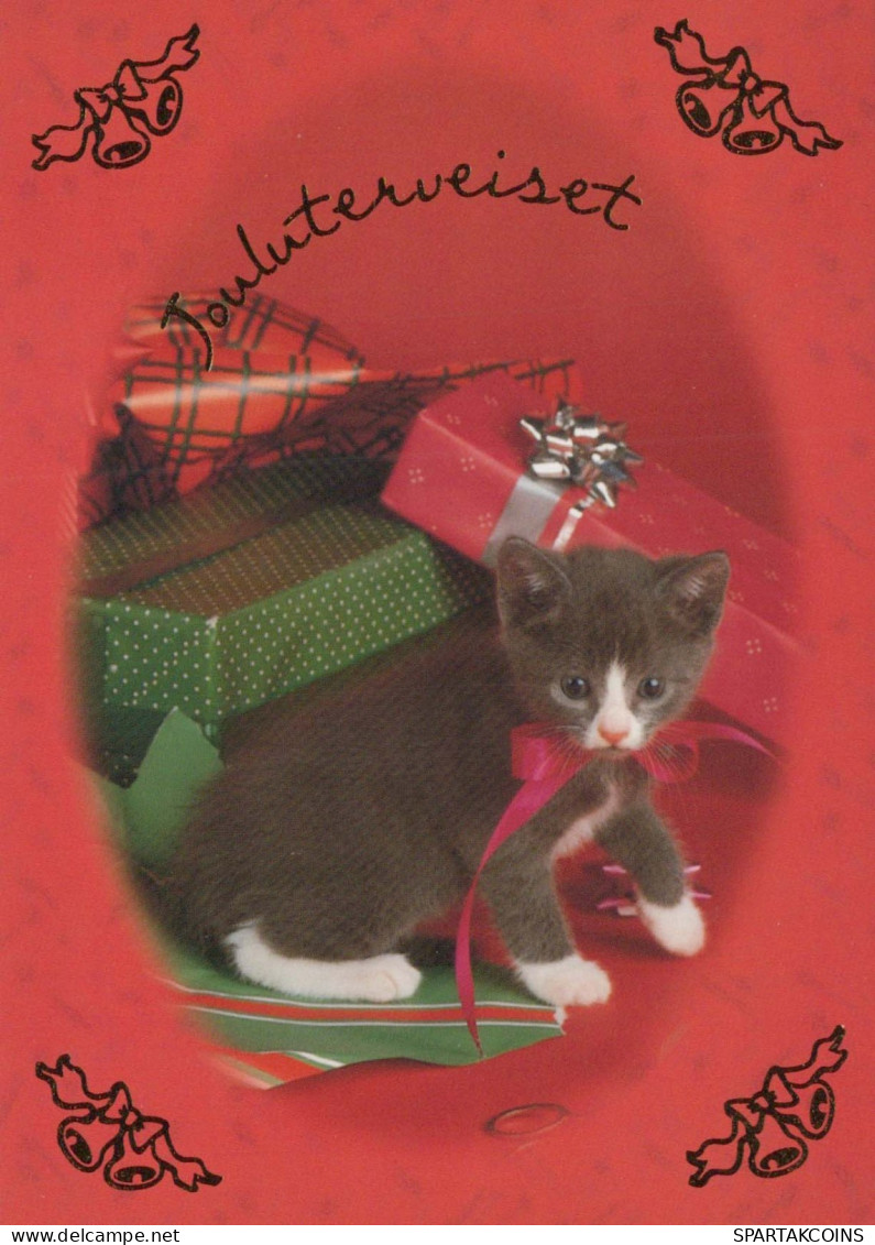 KATZE MIEZEKATZE Tier Vintage Ansichtskarte Postkarte CPSM #PBR007.DE - Katten