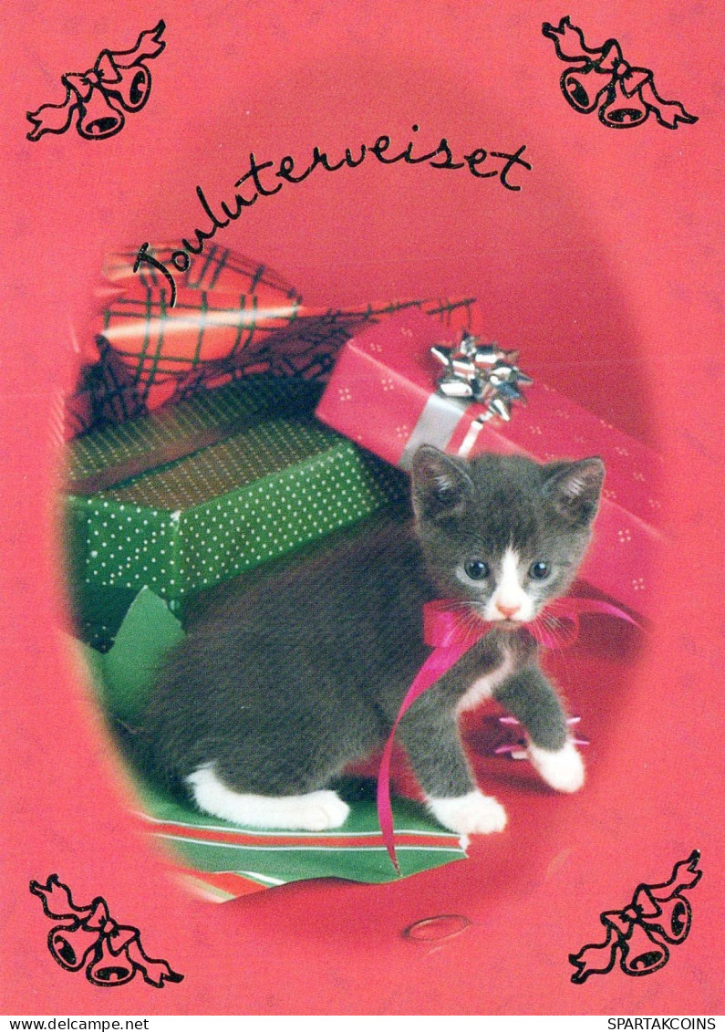 KATZE MIEZEKATZE Tier Vintage Ansichtskarte Postkarte CPSM #PBR007.DE - Katzen