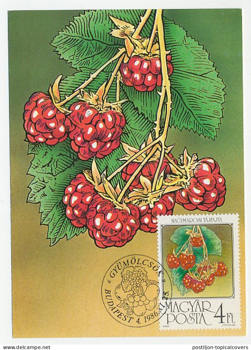 Maximum Card Hungary 1986 Raspberries - Frutta