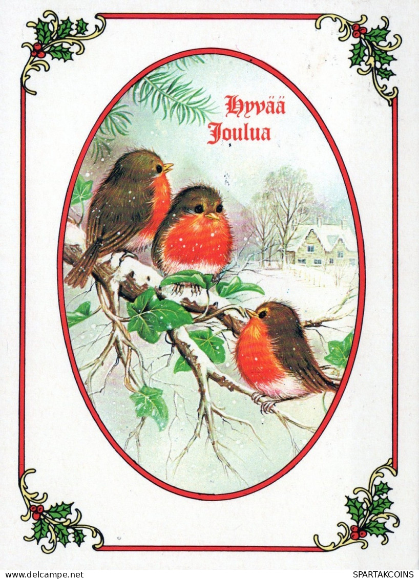 VOGEL Tier Vintage Ansichtskarte Postkarte CPSM #PAM908.DE - Birds