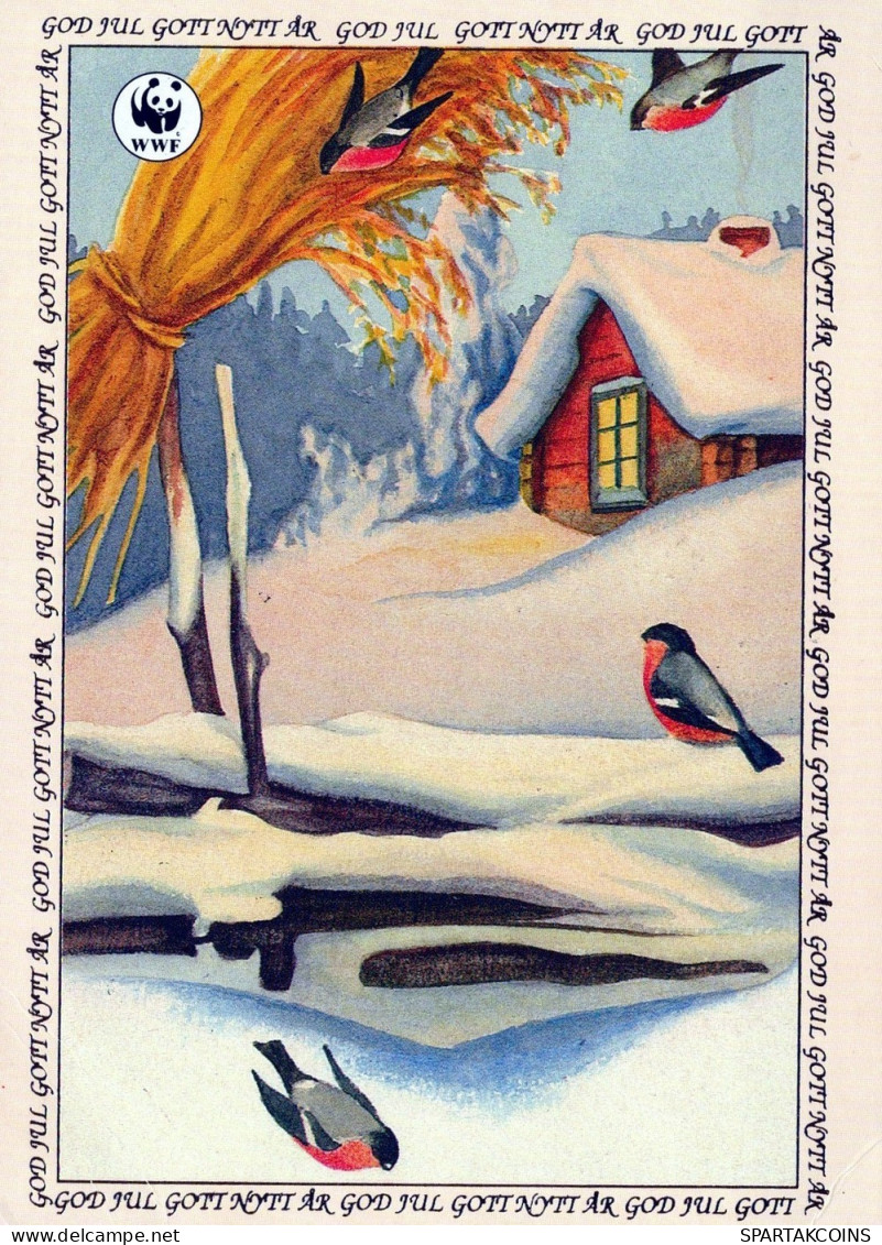 VOGEL Tier Vintage Ansichtskarte Postkarte CPSM #PAM845.DE - Vögel