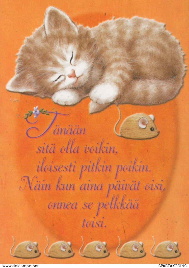 GATO GATITO Animales Vintage Tarjeta Postal CPSM #PBQ755.ES - Cats