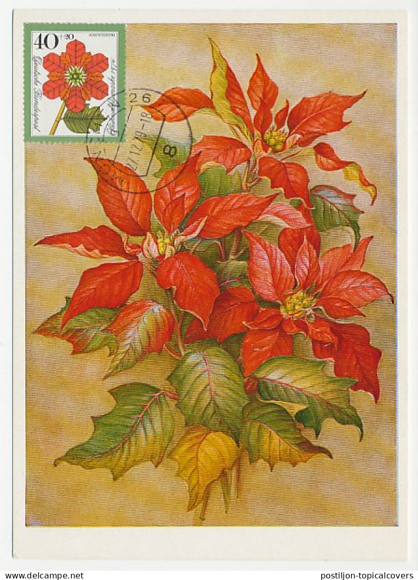 Maximum Card Germany 1979 Plant - Poinsettia - Christmas