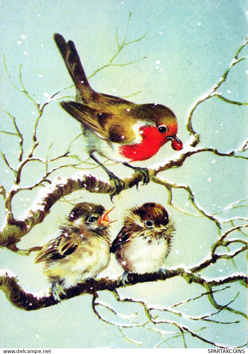 PÁJARO Animales Vintage Tarjeta Postal CPSM #PAM906.ES - Oiseaux