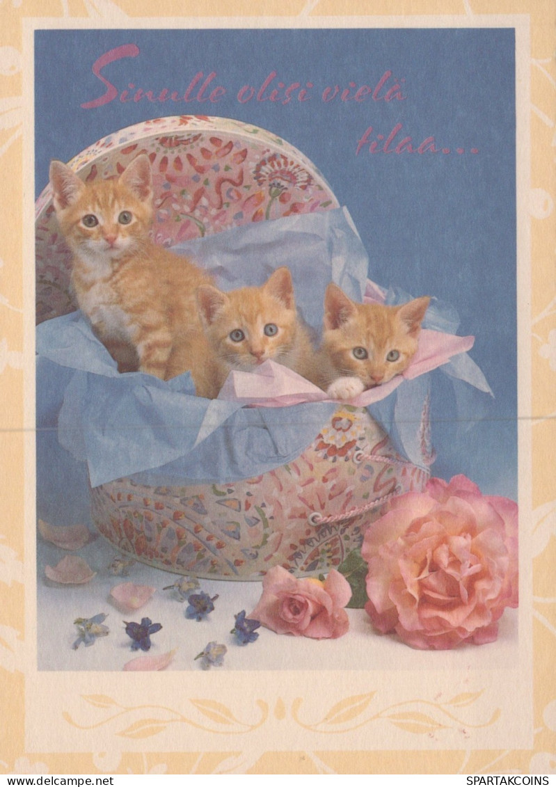 GATO GATITO Animales Vintage Tarjeta Postal CPSM #PAM402.ES - Gatos