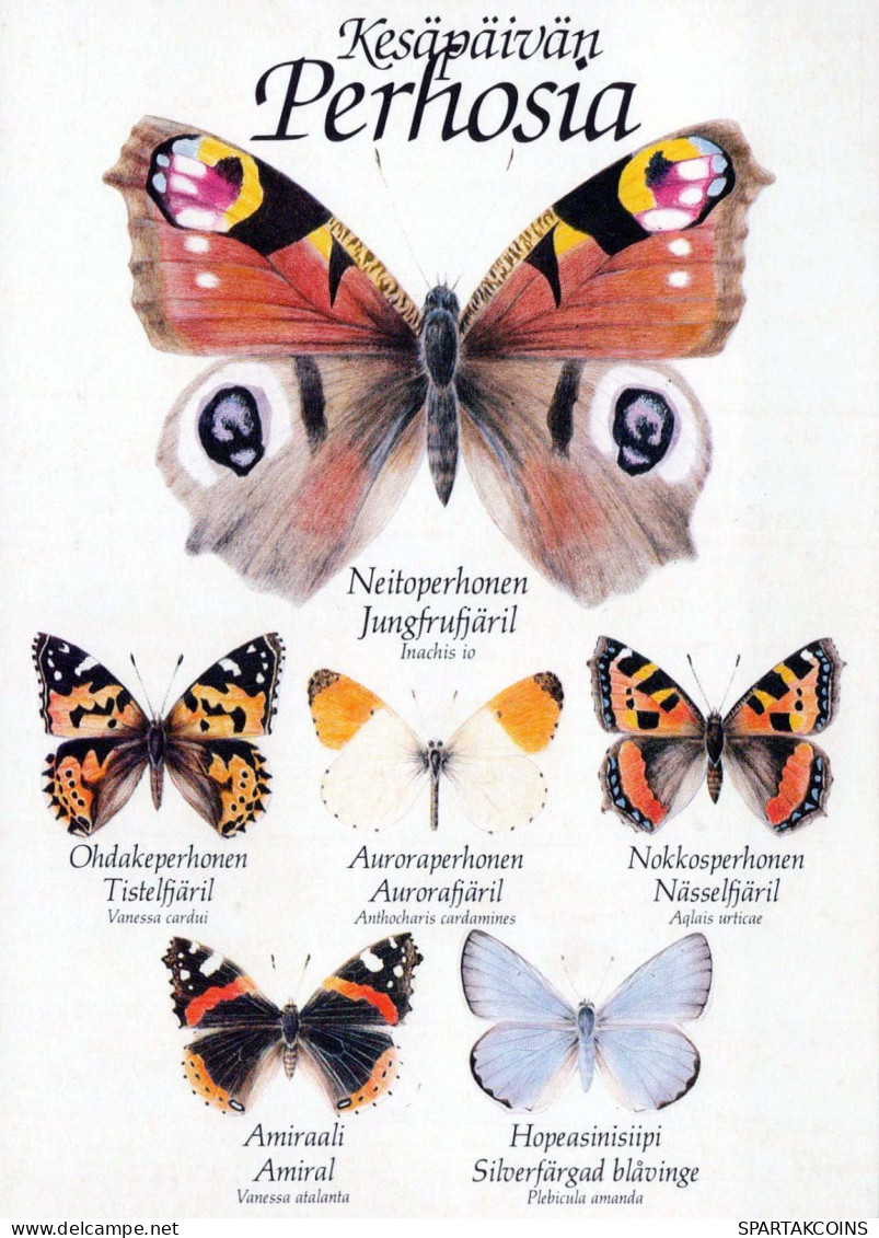 PAPILLONS Animaux Vintage Carte Postale CPSM #PBS450.FR - Butterflies