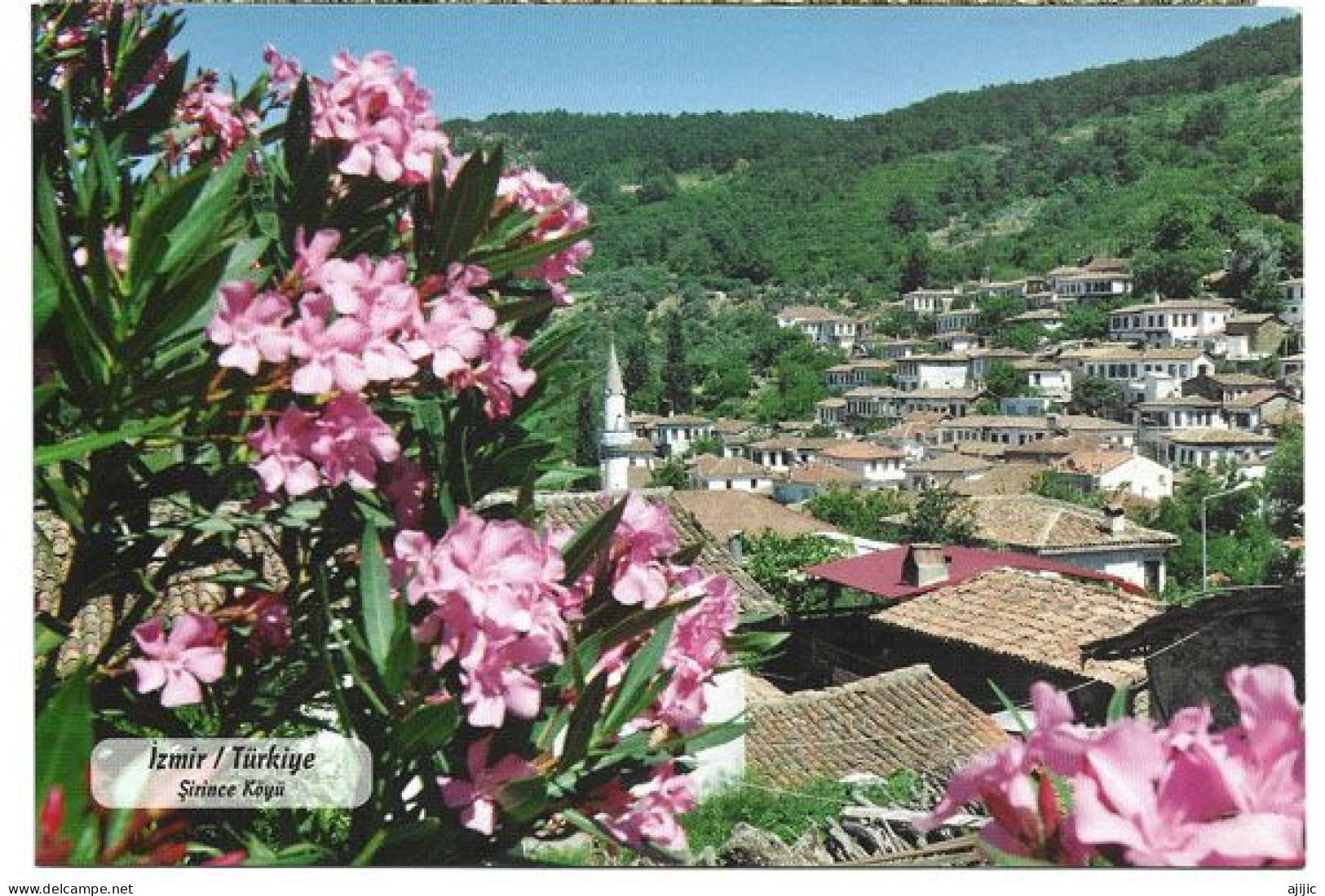 Şirince  (Izmir)  Postcard - Turkey