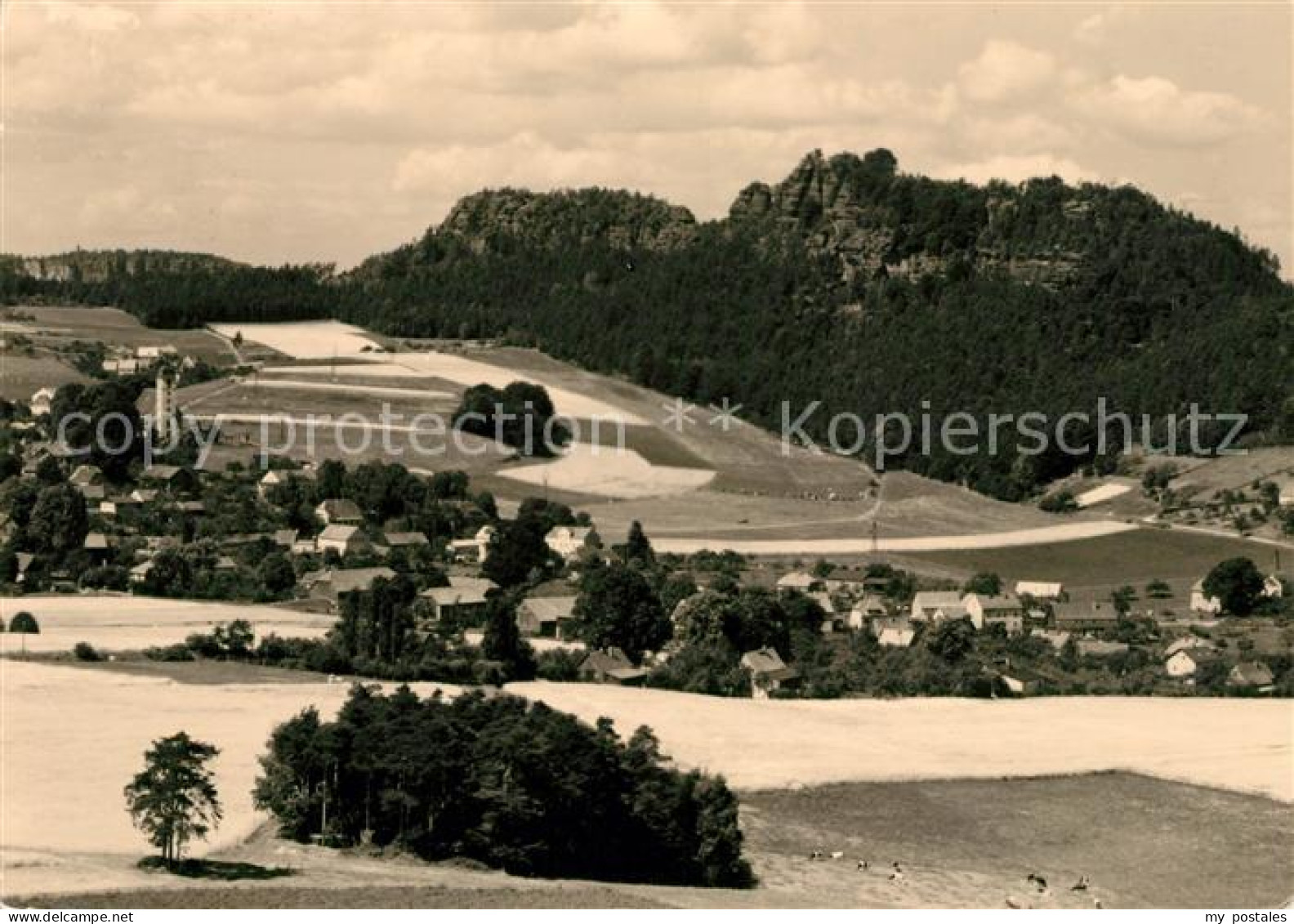 73100619 Papstdorf Panorama Papstdorf - Gohrisch