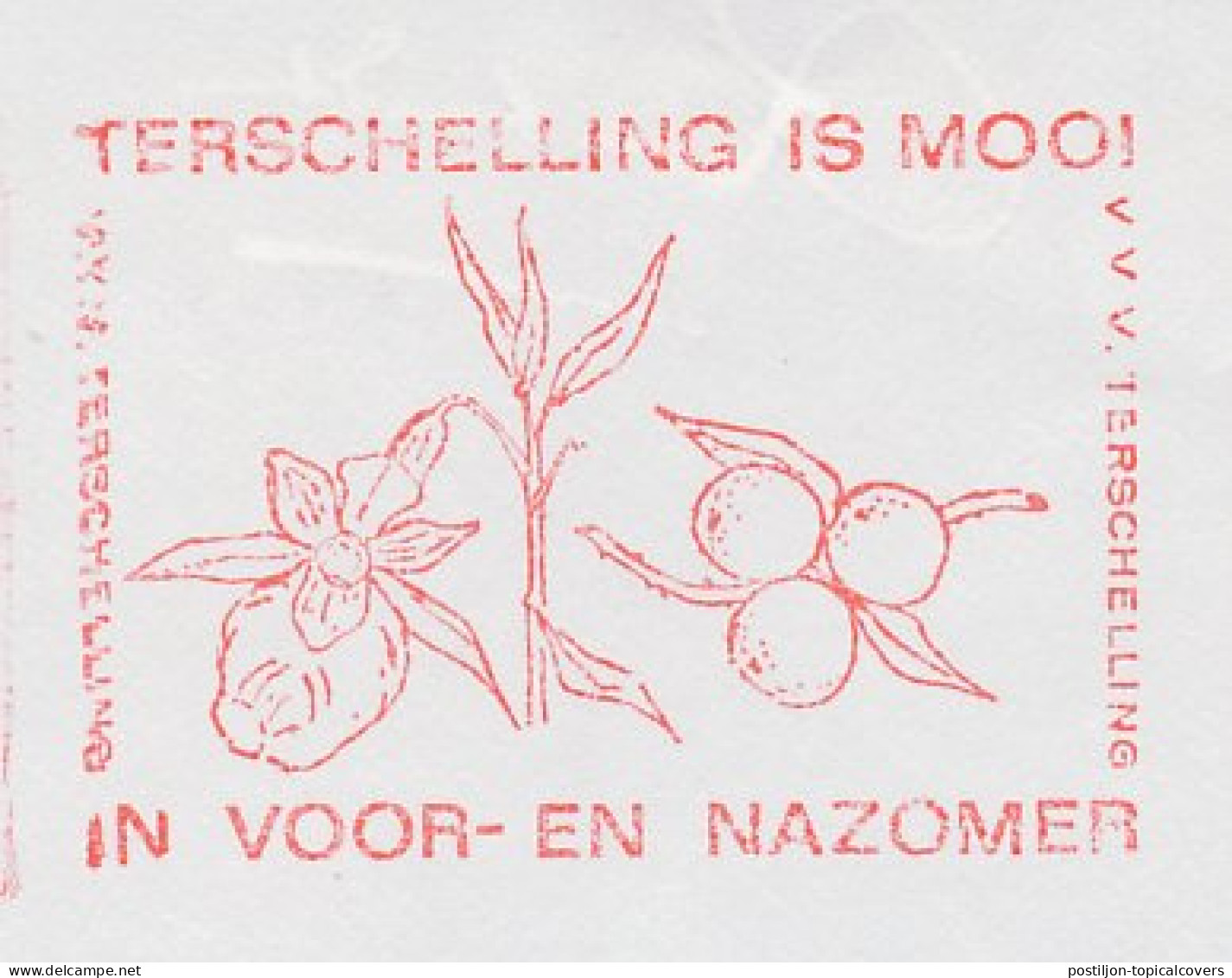 Meter Cut Netherlands 1987 Cranberry - Terschelling - Fruit