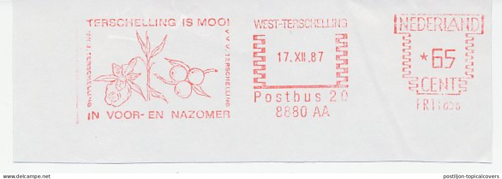Meter Cut Netherlands 1987 Cranberry - Terschelling - Frutas
