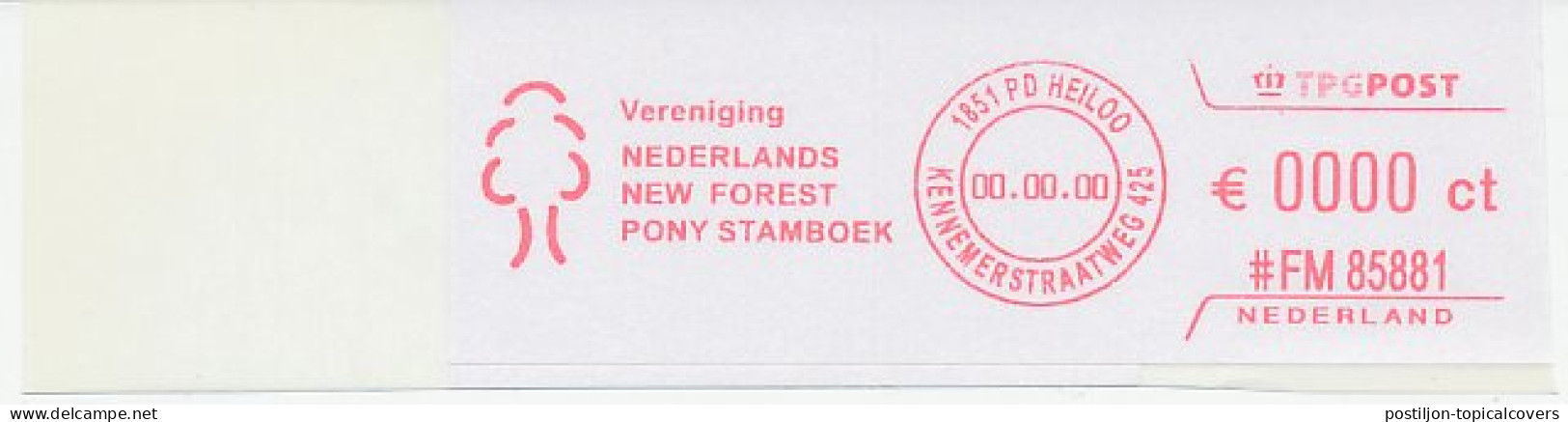 Meter Proof / Test Strip FRAMA Supplier Netherlands New Forest Studbook - Horse - Hípica