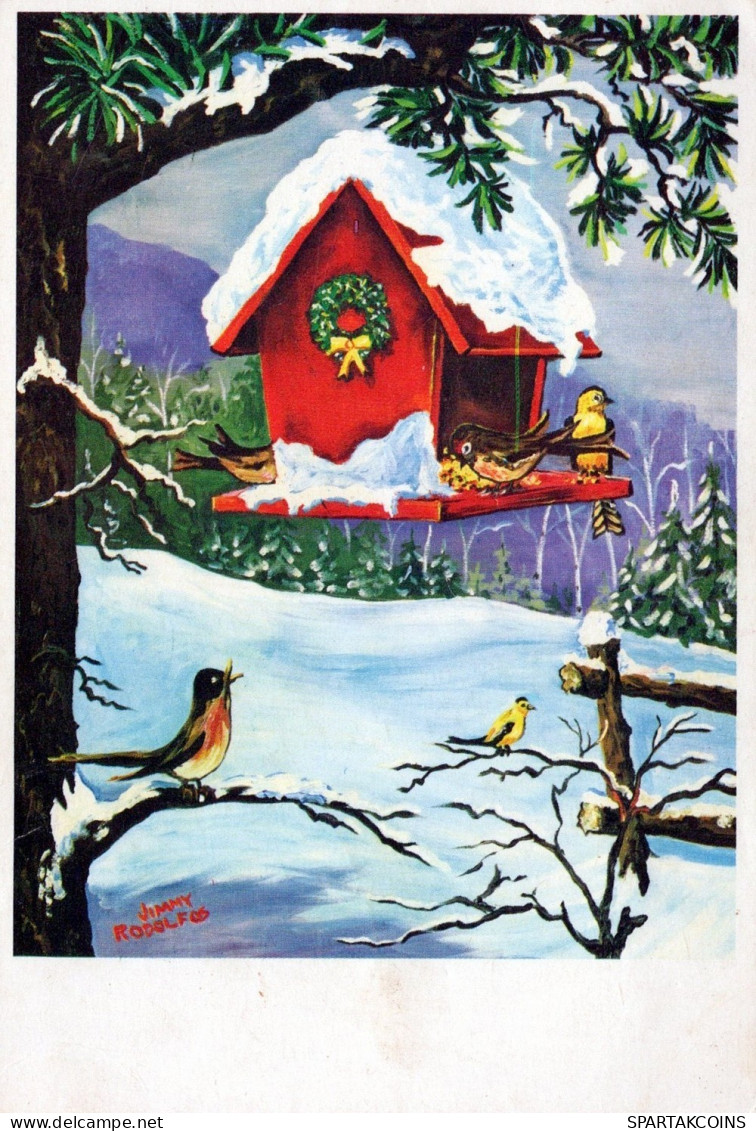 OISEAU Animaux Vintage Carte Postale CPSM #PAM844.FR - Birds