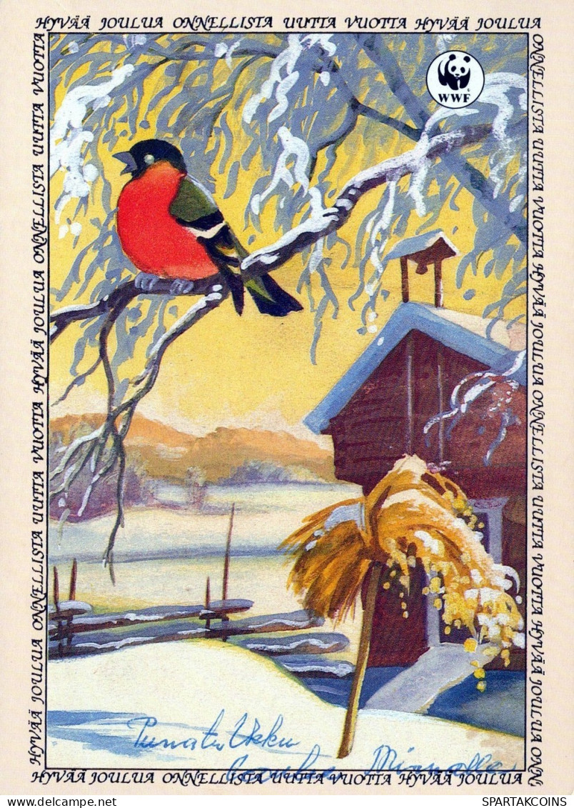 OISEAU Animaux Vintage Carte Postale CPSM #PAN093.FR - Oiseaux